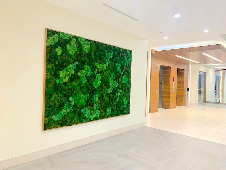 PK Partners Office Keystone at the Crossing Moss Art Indianapolis, Indiana