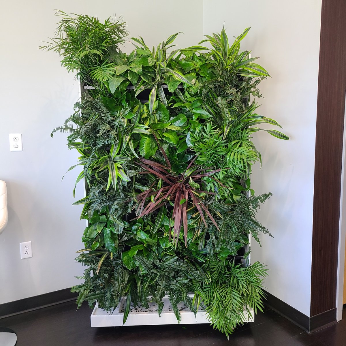 Delta Faucet Mobile Living Wall