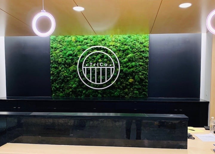Moss Wall with Logo