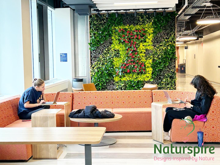 Living Plant Wall at the University of Illinois