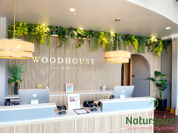 Replica Plants at Woodhouse Day Spa in Fishers, IN