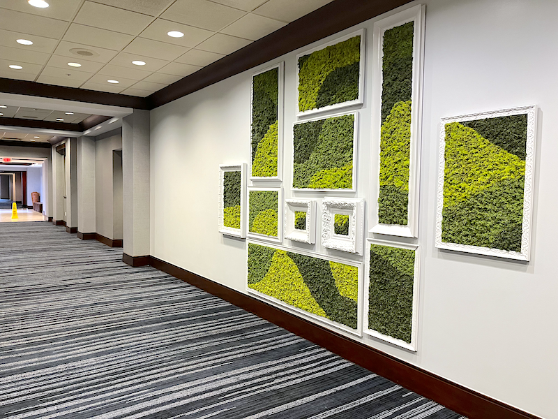 Renaissance Indianapolis North Hotel Moss Art Frames Carmel Indiana